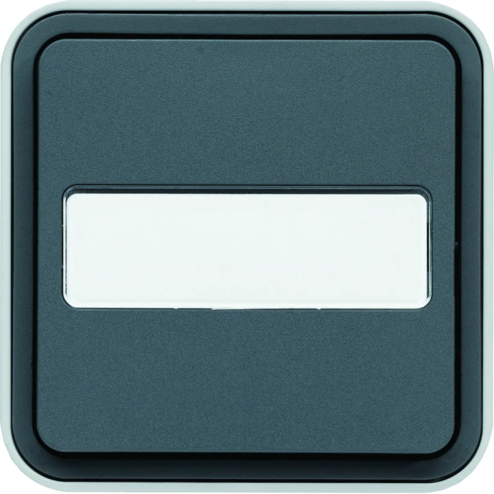cubyko Poussoir porte-étiquette 1F saillie gris IP55