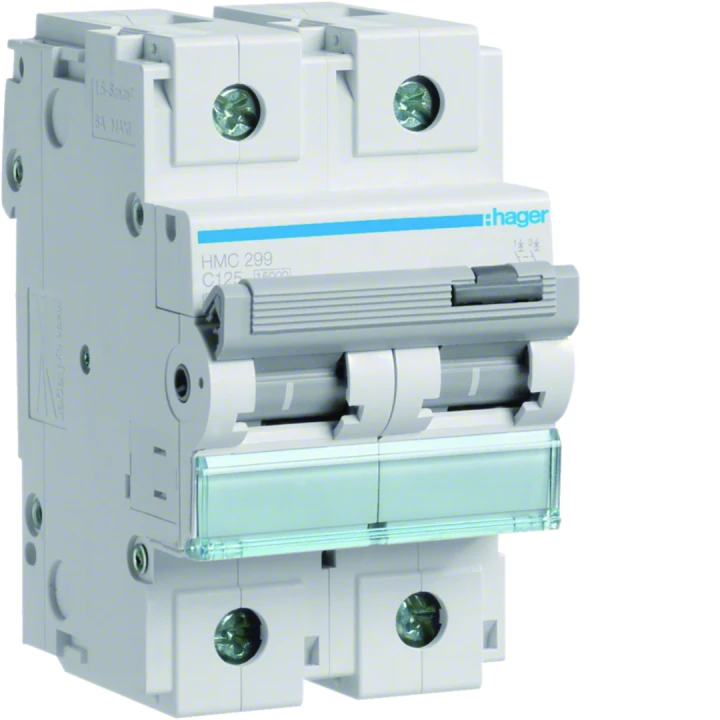 Disjoncteur 125A 2P 15kA Courbe C 3modules