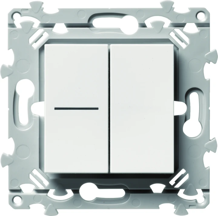 Double InterBP Duo Essensya un voyant et va vient ou bouton poussoir Pure