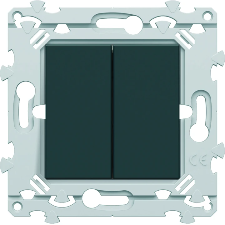 Double InterBP Duo Essensya va et vient ou bouton poussoir Anthracite