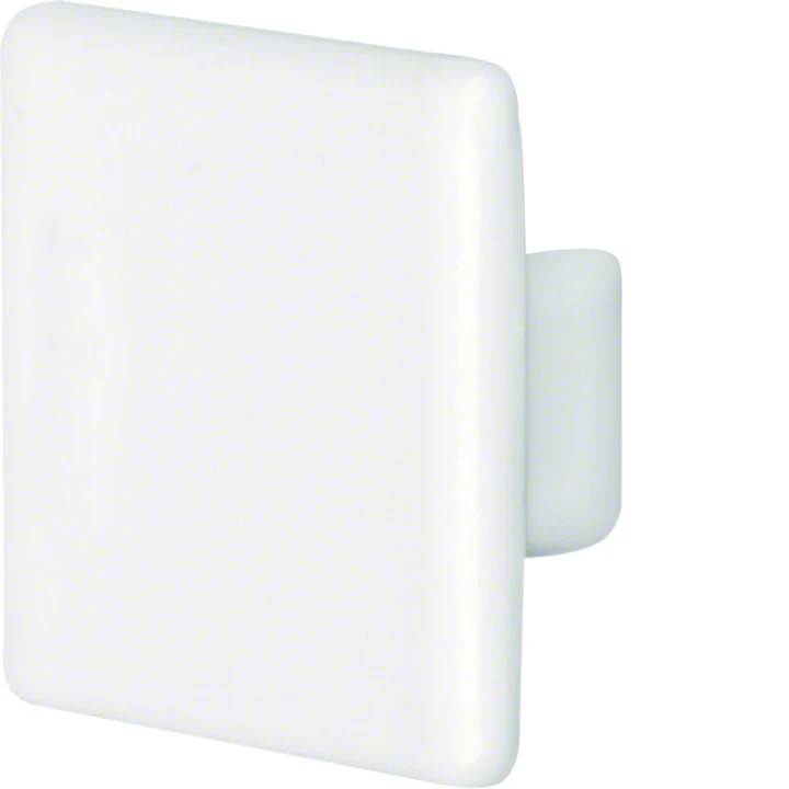 Embout de fermeture camelea pour LFS20020 h18 x p19 laqué RAL 9010 blanc paloma