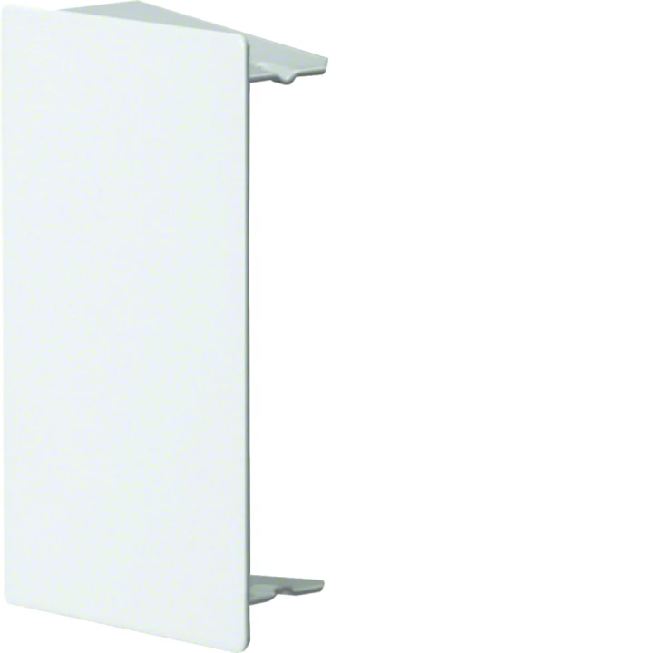 Embout de fermeture camelea pour LFS60100 RAL 9010 blanc paloma