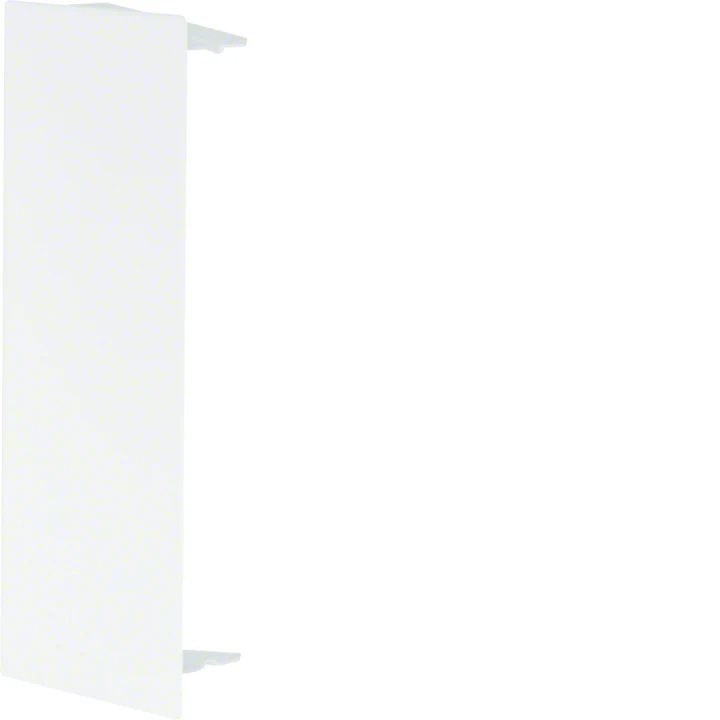 Embout de fermeture camelea pour LFS60150 RAL 9010 blanc paloma
