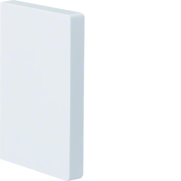 Embout pour BRP651001 IP40 IK07 p 65mm h 100mm RAL 9010 blanc paloma