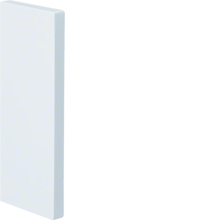 Embout pour BRP651701 IP 40 IK 07 p 65mm h 170mm RAL 9010 blanc paloma