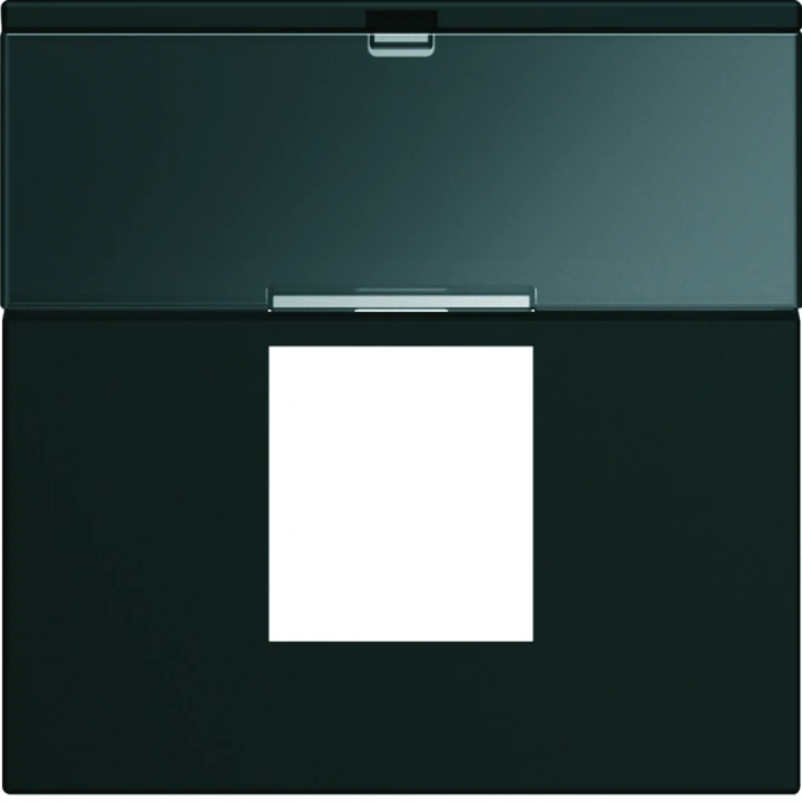 Enjoliveur Gallery prise RJ45 avec porte étiquette 2 modules, finition Night