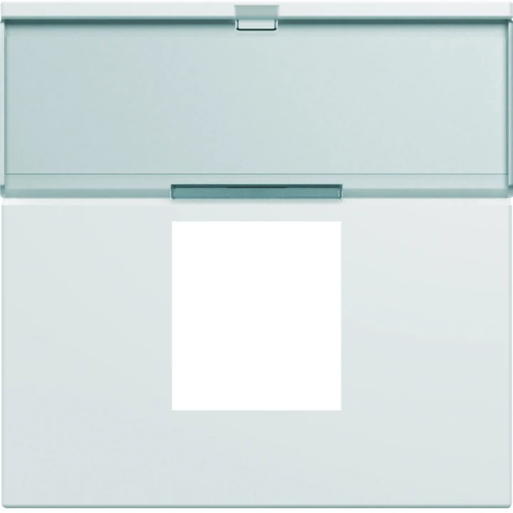 Enjoliveur Gallery prise RJ45 avec porte étiquette 2 modules, finition Pure