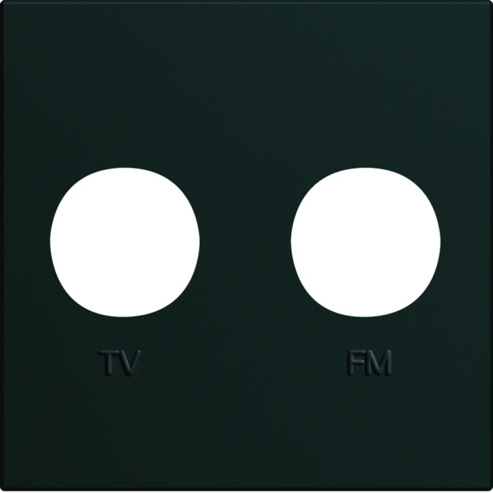 Enjoliveur Gallery prise TV + FM 2 modules, finition Night