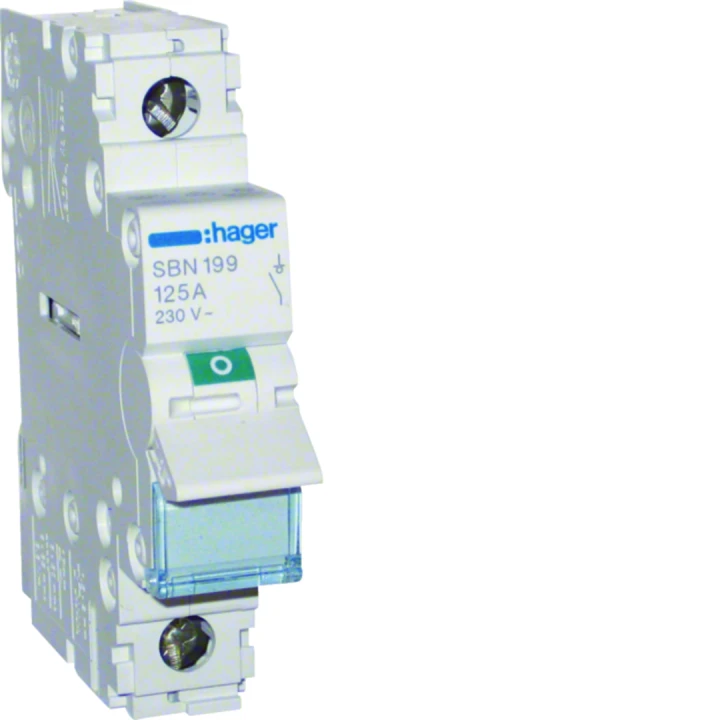 Interrupteur sectionneur 125A 1P 1 module