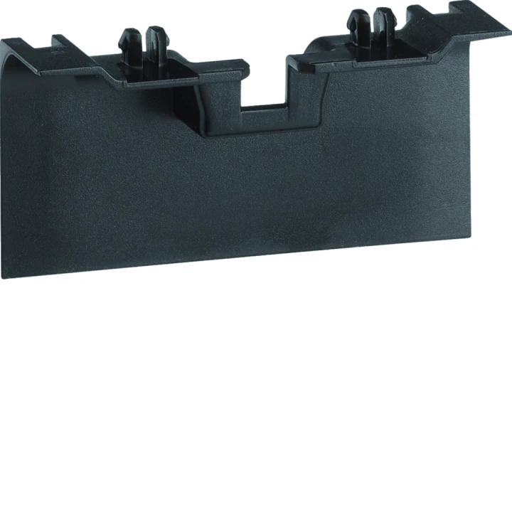 Pièce de recouvrement de support d'appareillage pour plinthe SL20115 noir
