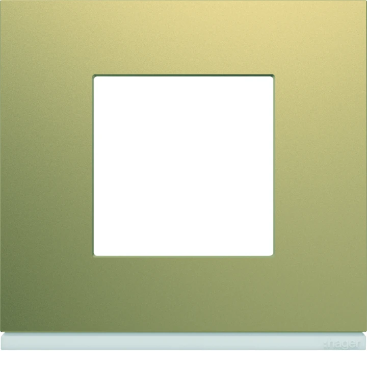 Plaque de finition Gallery 1 poste Champagne
