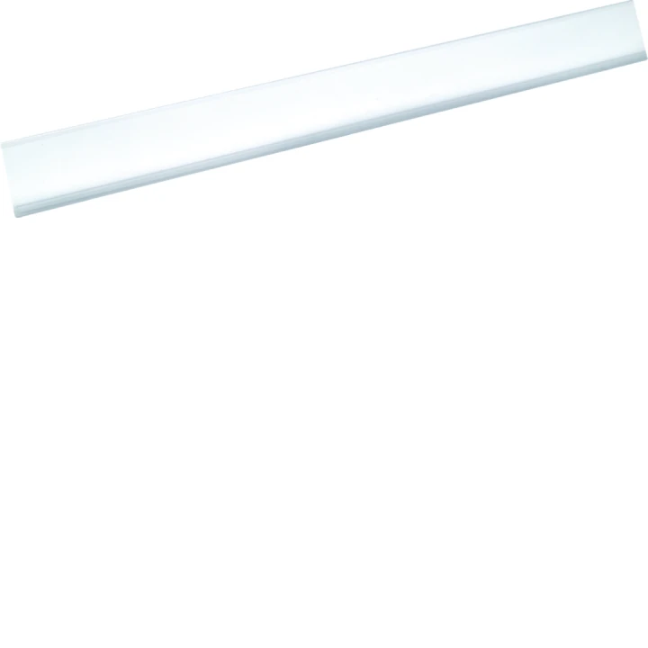 portes-étiquettes transparents VF/VS 450mm (contenu 5 pièces)