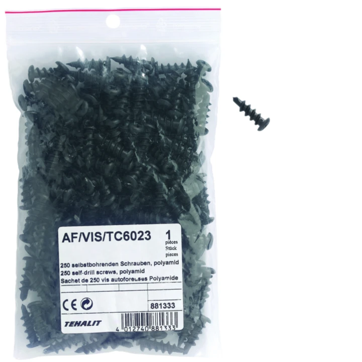 Sachet de 250 vis autoforeuses Polyamides
