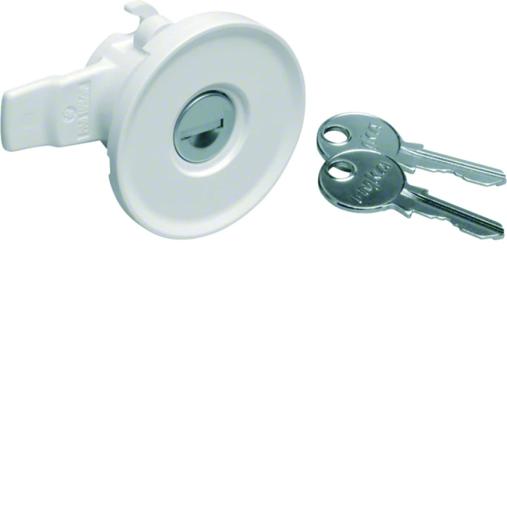 Serrure à clé n° 1242E livrée avec 2 clés pour armoire univers IP44/54