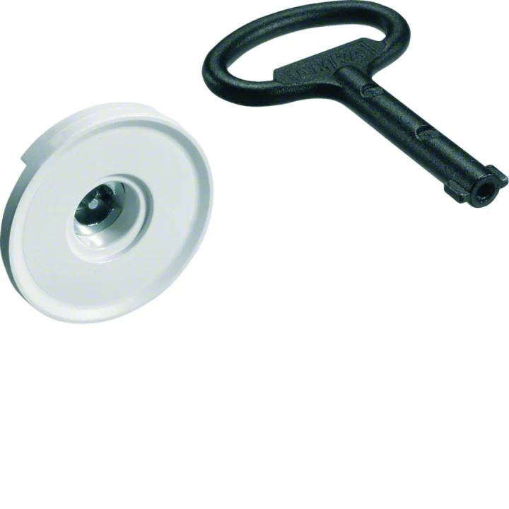 Serrure à panetton double 3mm chromée avec 1 clé pour armoire univers IP44/54