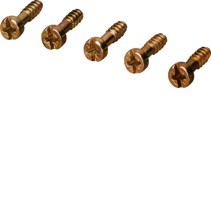 Vis taraudeuse 3,5x12,0 +/- PZ1, pour la fixation du borne en laiton