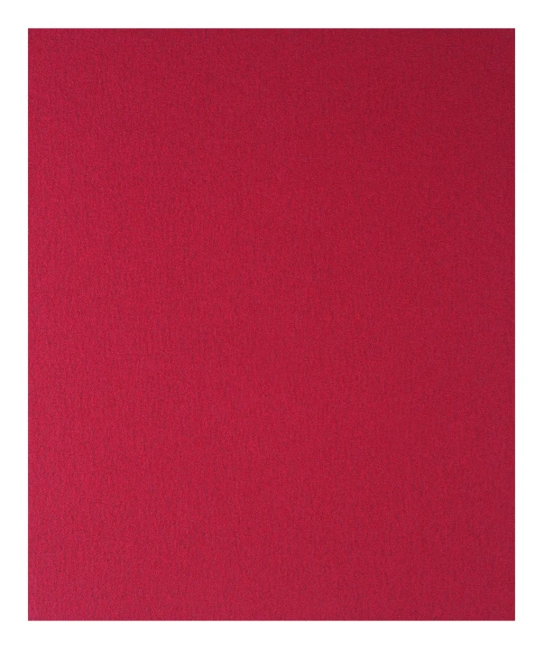 1 FEUIL ABRAS MAIN BOIS 230x280MM G180