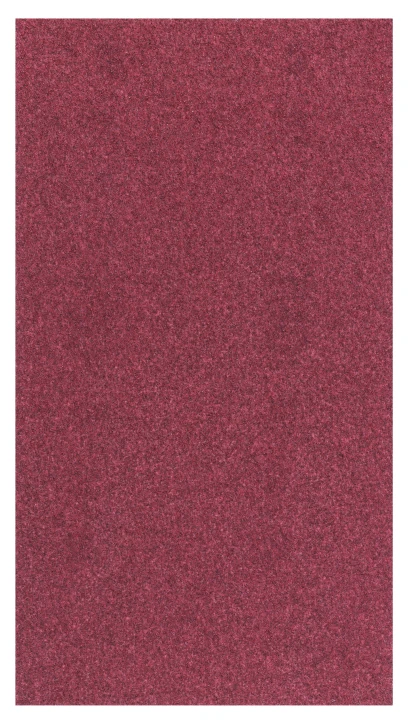 10 Abrasifs C470 Starlock pour AUZ70G Bois & peinture ; 70x125mm ; G80 à G240