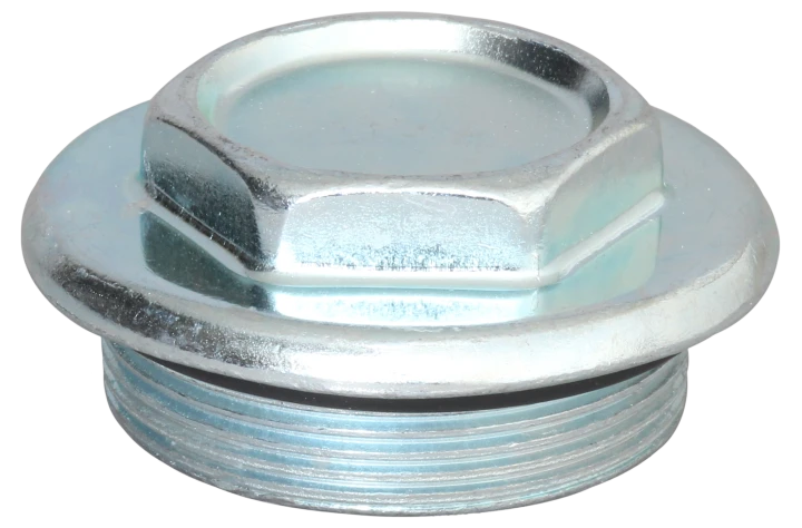 Bouchon : 2" Mâle + joint