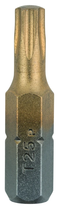 LOT 2 EMBOUTS TITANIUM TORX25 25MM