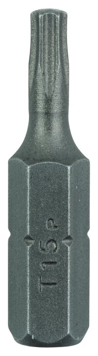 LOT 2 EMBOUTS TORX15 25MM