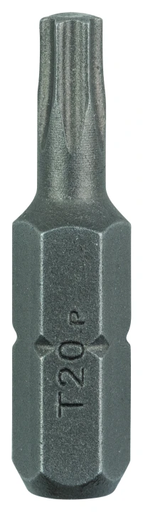 LOT 2 EMBOUTS TORX20 25MM