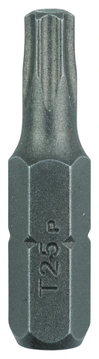 LOT 2 EMBOUTS TORX25 25MM