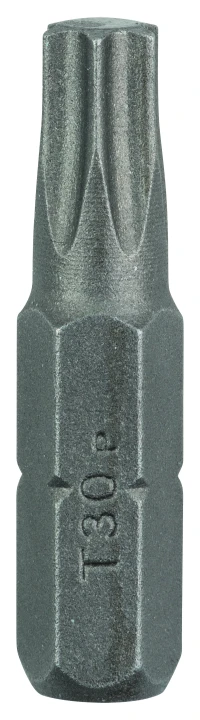 LOT 2 EMBOUTS TORX30 25MM