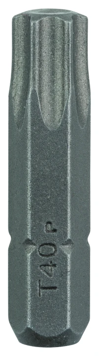 LOT 2 EMBOUTS TORX40 25MM