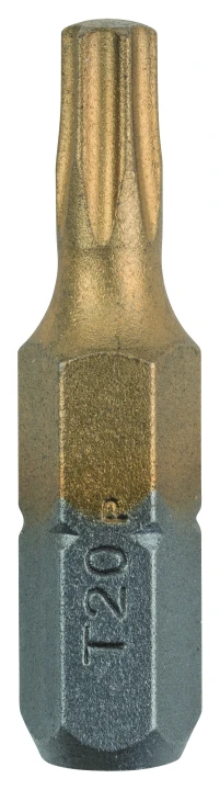 Lot de 2 embouts Titanium TORX20 25mm