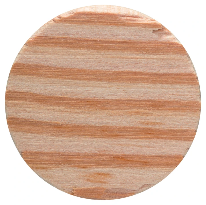 SET 10 BOUCHONS 30 x 10 MM