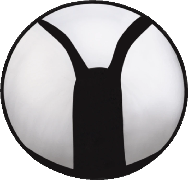 Bouton inverseur bain-douche