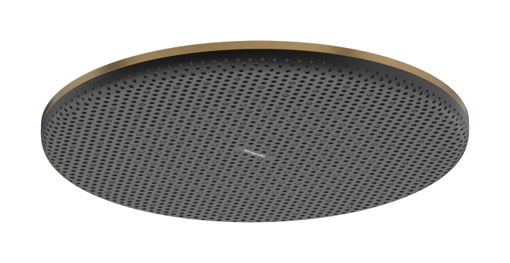 Dche de tête 300 1jet EcoSmart