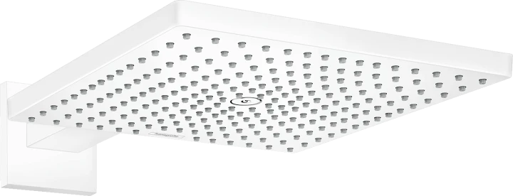 Dche tête 300 1jet EcoSmart