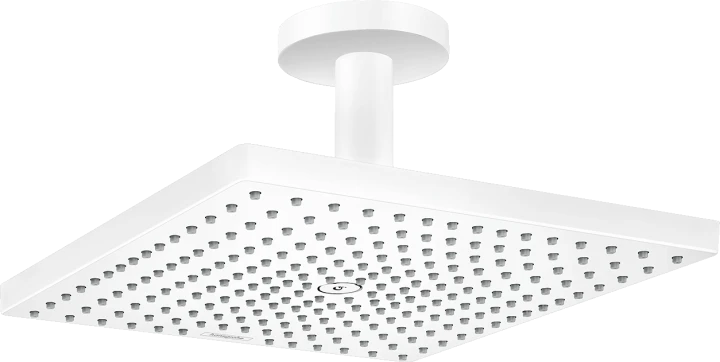 Dche tête 300 1jet EcoSmart