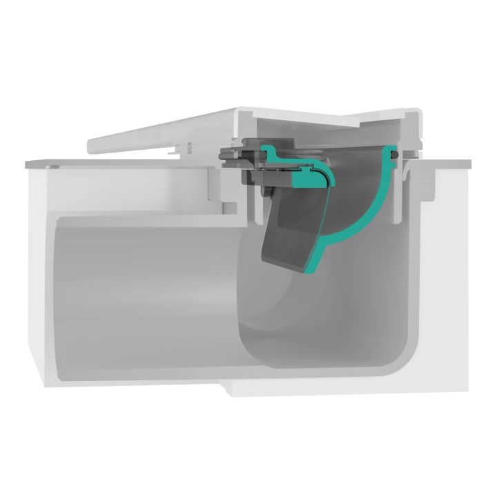 Dryphon