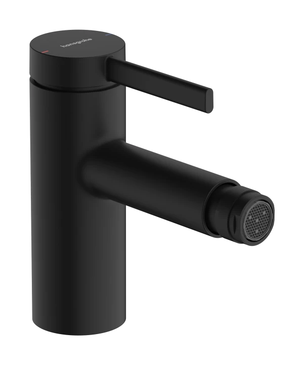 Mit bidet av garniture de vid
