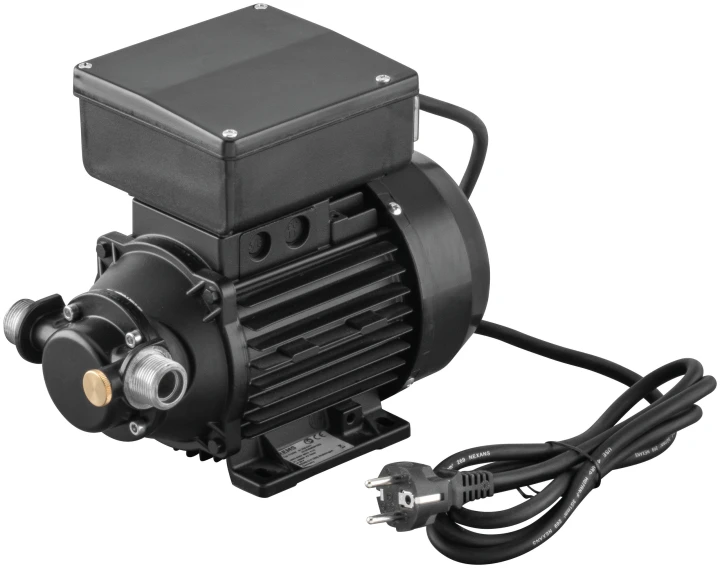 Moteur avec pompe à palettes