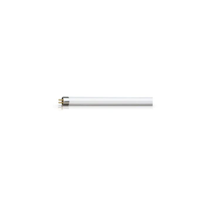 Actinic BL TL 6W/10 1FM/10X25C