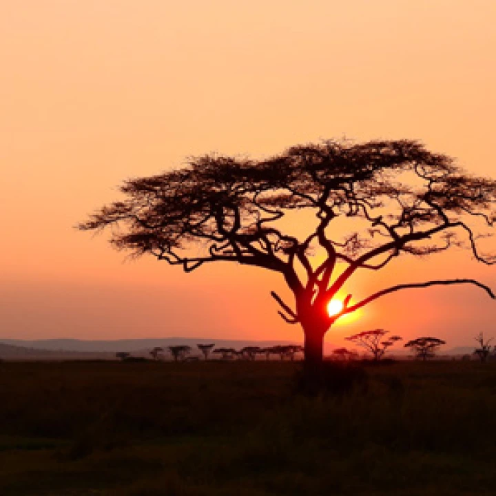PM NU NAT AFRICA B 1000x2550x3