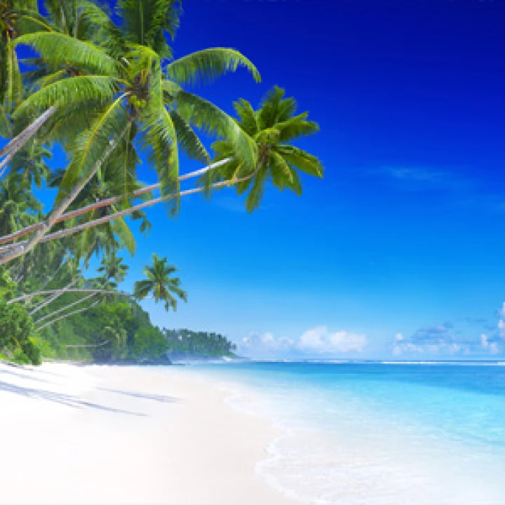 PM NU NAT PLAGE B 1000x2550x3